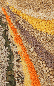 Great New Thought Source Ministry