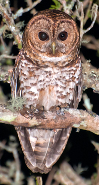 Serving New Thought brings New Thought to our fingertips