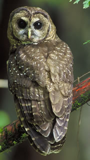 Serving New Thought brings New Thought to our fingertips